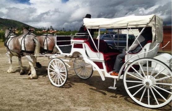 Carriage Rides