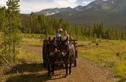 Chuck Wagon Dinner & Show