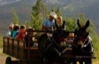 Chuck Wagon Dinner & Show