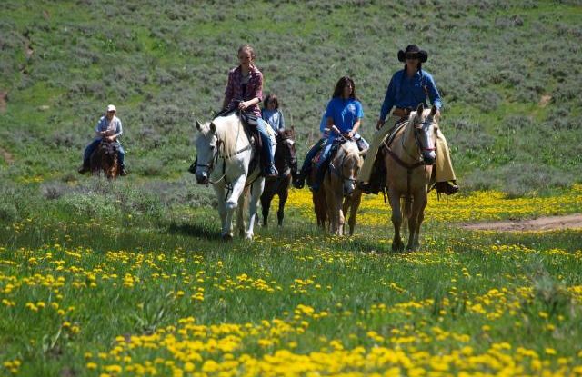 Horseback Riding & Tours