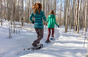 Snowshoe Tours & Rentals