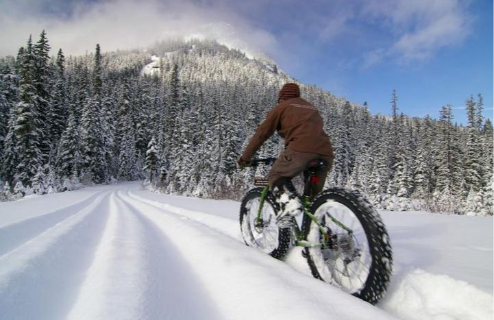 Fat Bike Tours & Rentals