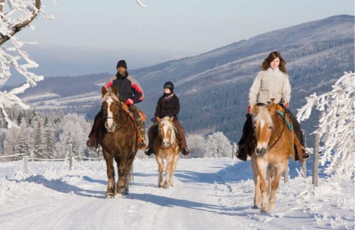 Horseback Riding & Tours